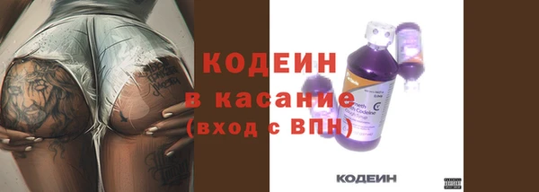 ГАЛЛЮЦИНОГЕННЫЕ ГРИБЫ Абаза
