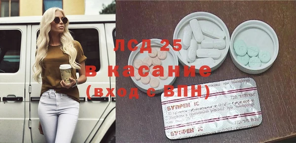 ГАЛЛЮЦИНОГЕННЫЕ ГРИБЫ Абаза