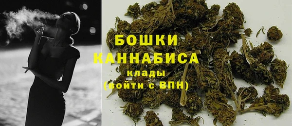 ГАЛЛЮЦИНОГЕННЫЕ ГРИБЫ Абаза