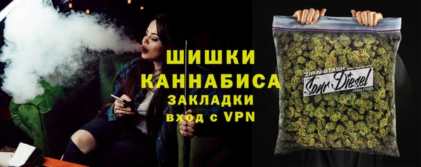 ГАЛЛЮЦИНОГЕННЫЕ ГРИБЫ Абаза